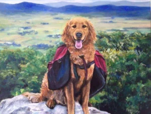 Finding compassionate support for pet owners