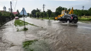 Flood zone project management tips